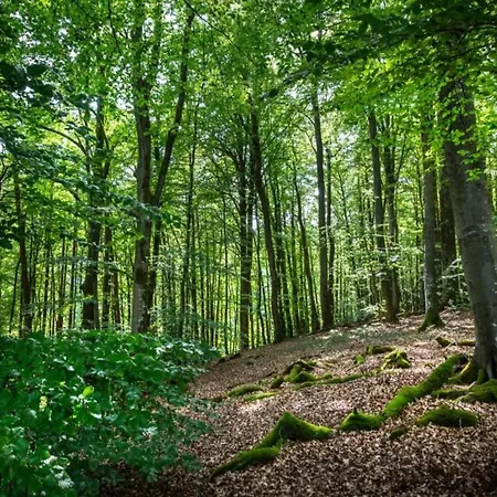 Tent In Larochette Near Forests & Castles خيمة فخمة Medernach